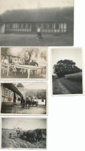 Pilegaarden fl